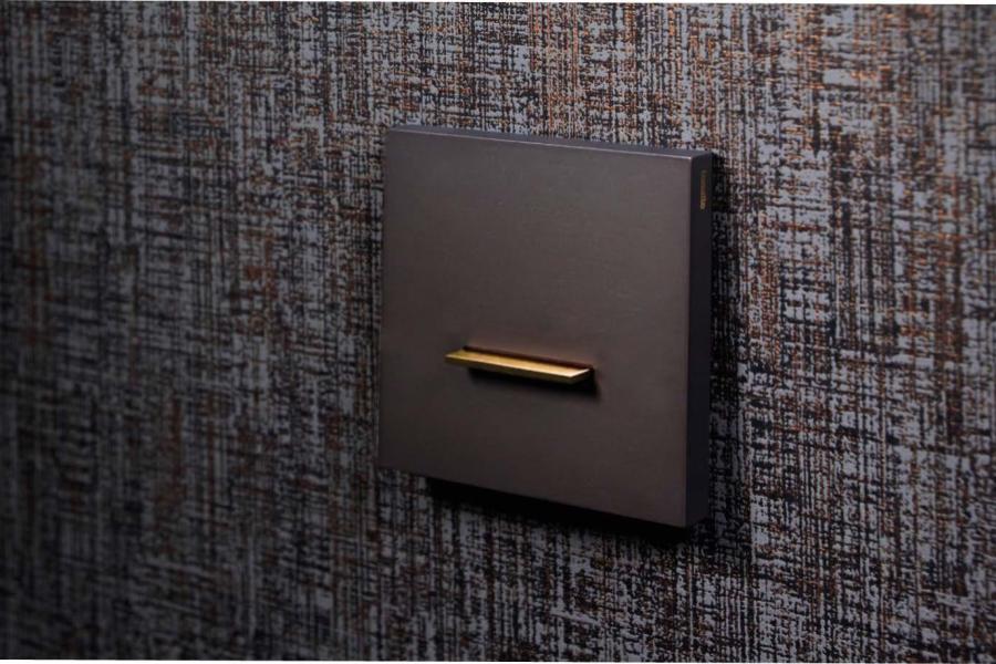 Chopin 900x600 (1)